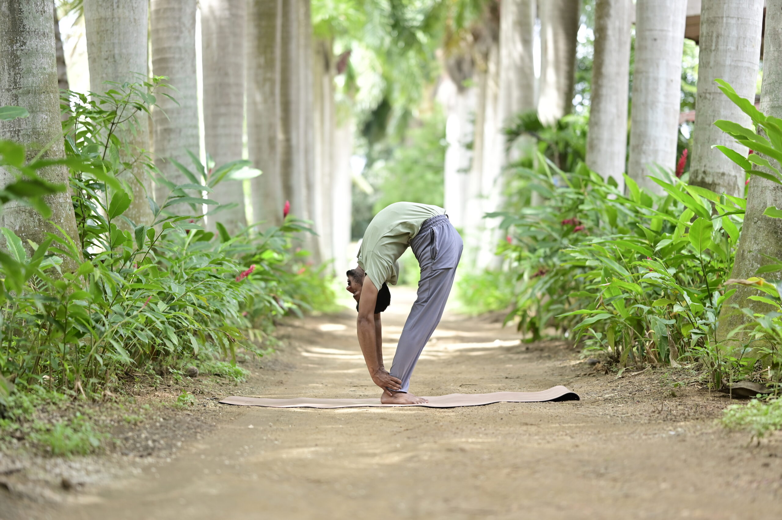 Living Yogis